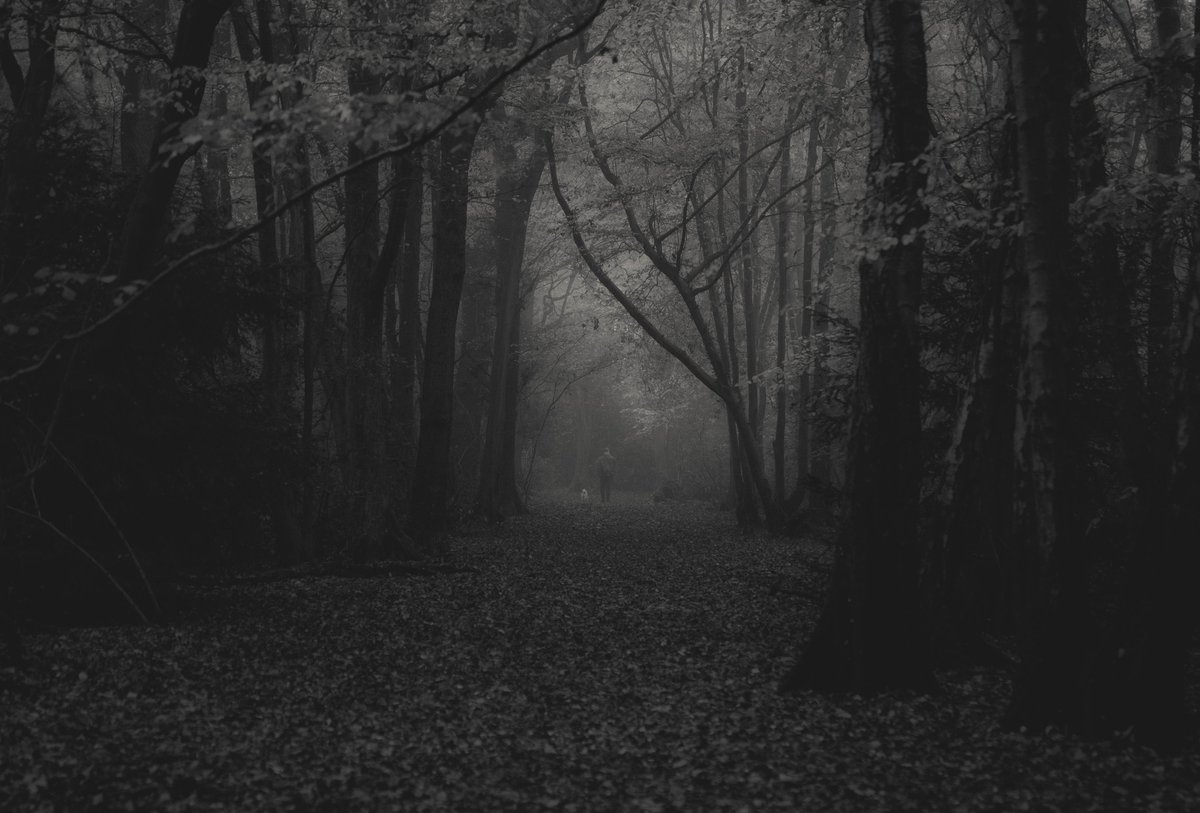 zosphotos's tweet photo. Long walks https://t.co/tobbyYdW4g