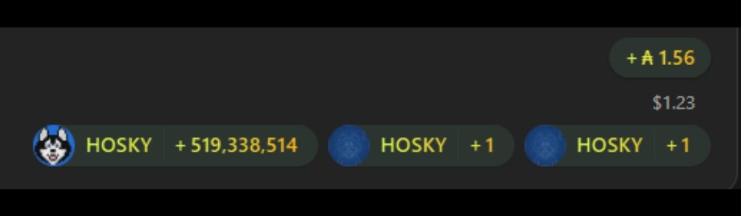 Let's mint print 10Ks everybody
Hosky makes NFTs great again...