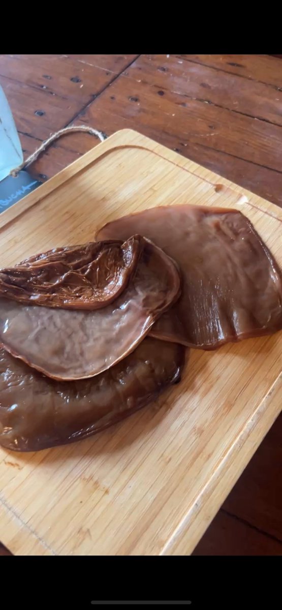 AlaskanScribe's tweet image. After letting my kombucha sit 4 years without feeding it, I decided I shouldn't let it die. Until just a few months ago, there was some booch vinegar. It looked so dry today, I was worried. Pulling it out, it wasn't too dry and smelled good (if you like vinegar). Wish me luck!