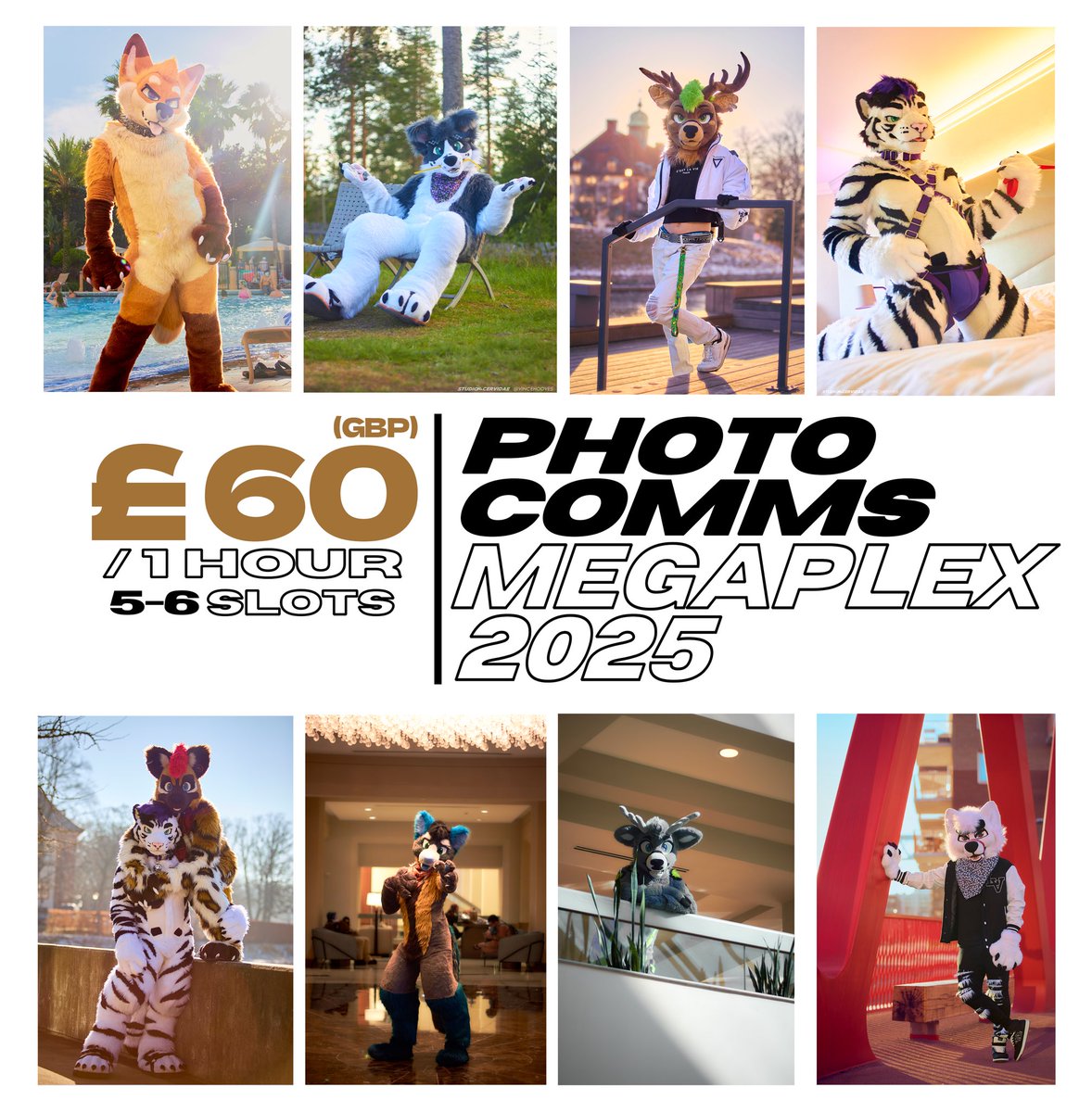 vincehooves's tweet image. 📸 MEGAPLEX 2025 PHOTO COMMS 📸
- Opening 5-6 slots
- £60/hour
- 20+ edited photos delivered
- spicy/lewd shoots available
- running on full-frame now! Better quality than before ;)
Re-shares appreciated 🤠