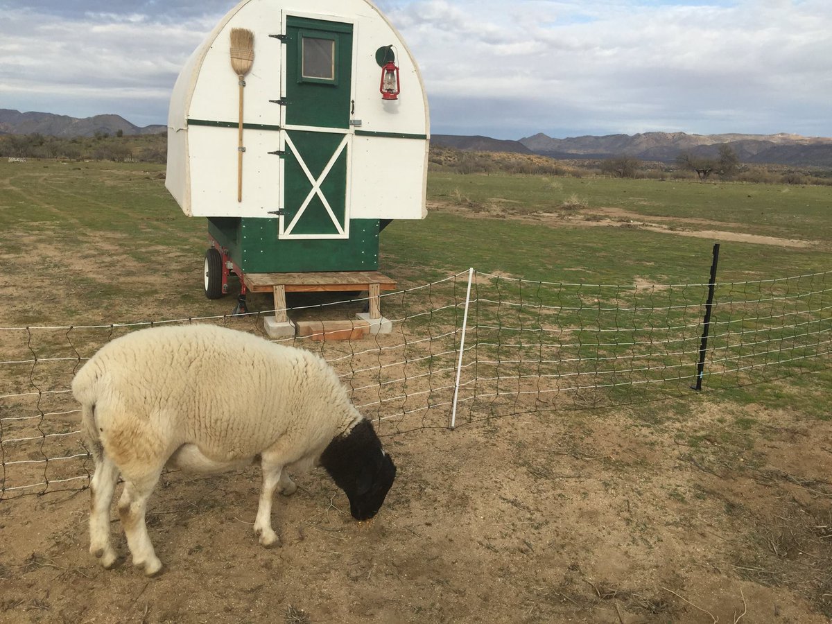Cimarron_Ranch's tweet image. Throwback Thursday: Hercules and my Sheepwagon Fifteen years ago.