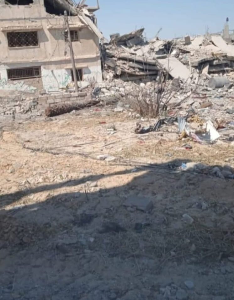 Free Gaza 🇵🇸 tweet media