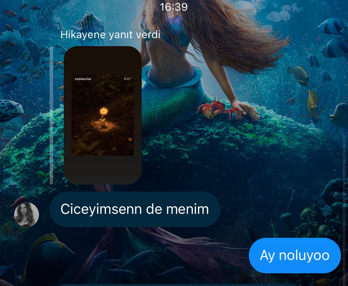 neçə vaxtdan sora yazılan ən yaxşı mesaj)