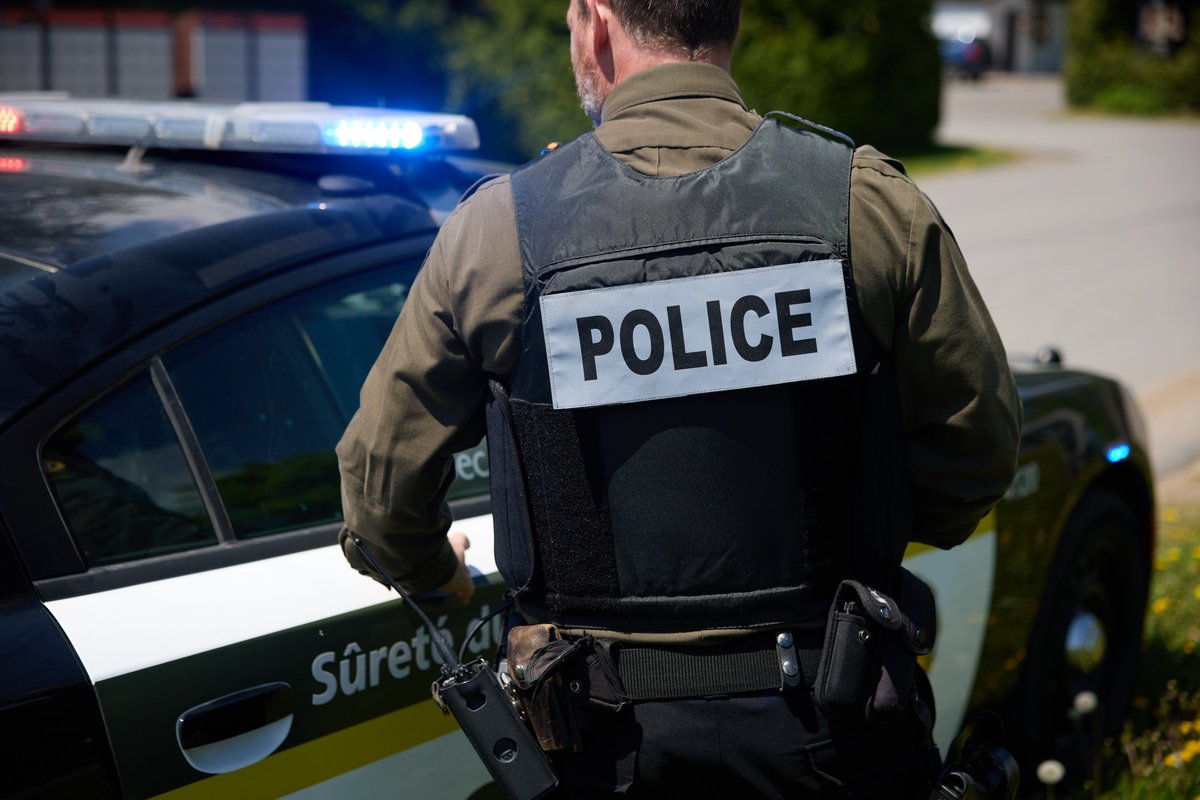 Dominic Roberge tweet media