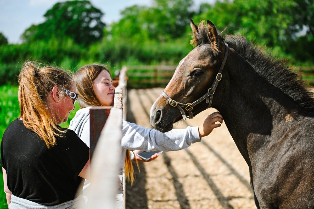 Join us on 29th August for our National Racehorse Week open day!

Tour the stud, talk to the staff and explore the facilities. We’ll be hosting 2 stallion parade's throughout the day as well as other demonstrations.

Read more and sign up for free here: nationalracehorseweek.uk/yard/84617/