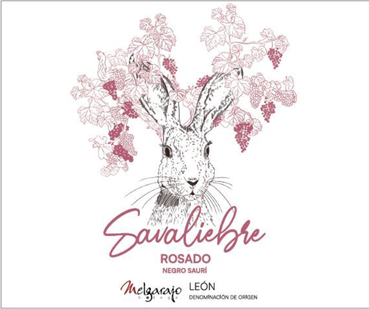 melgarajo's tweet photo. La próxima semana o primeros de agosto por fin saldrá el Negro Saurí, Savaliebre Rosado. La cantidad es limitada a 1400 botellas en cajas de 6 botellas.
#negrosaurí #bodegasmelgarajo #prietopicudo #valdeleña #melgus
#DOLEON #melgardeabajo https://t.co/Pi4QqrkTaJ