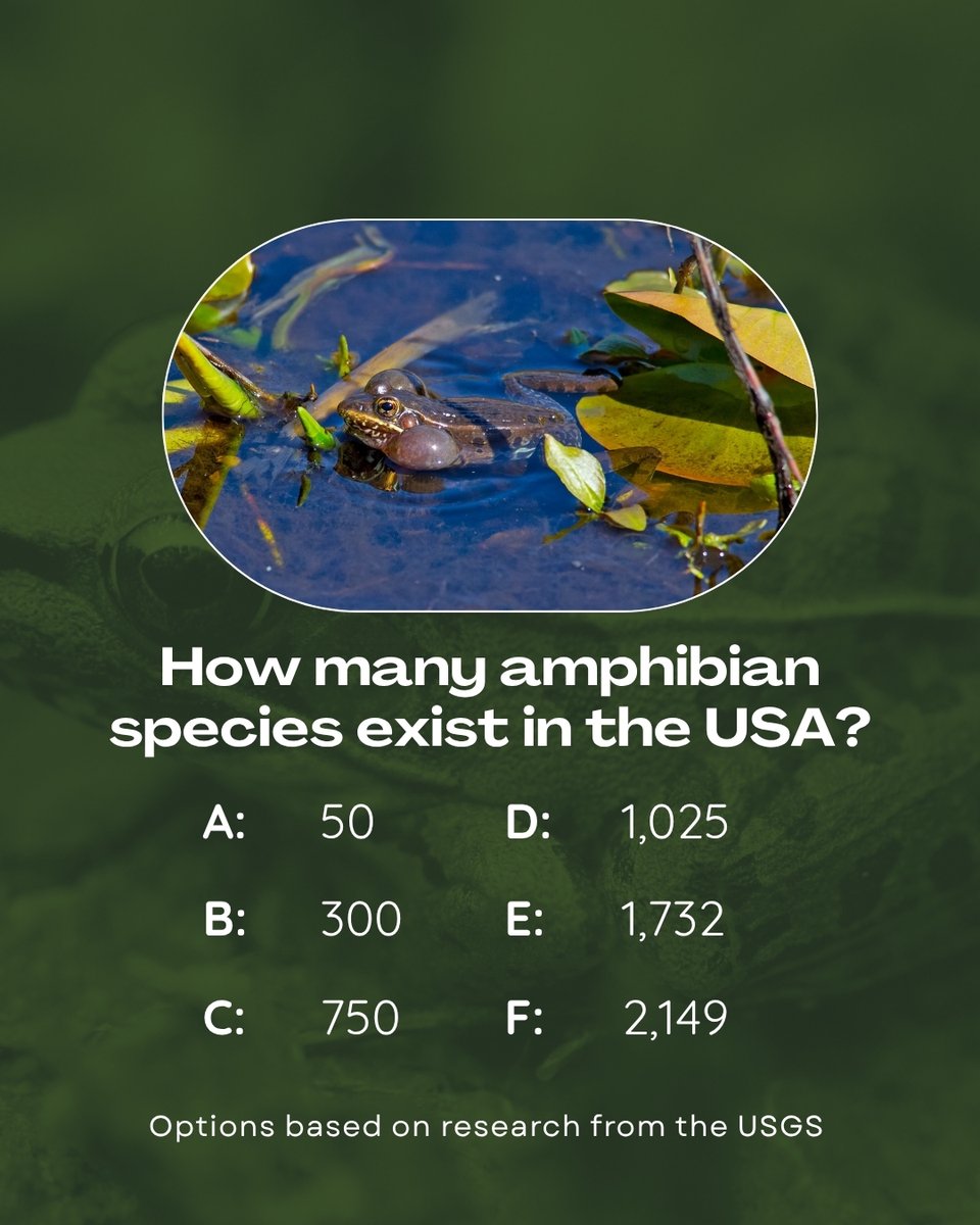 📉 USGS reports a ~3.8% decline in amphibians each year. SEPARC's Disease Task Team works to lower this number everyday. Visit our website to learn more: separc.org/disease-task-t… #AmphibianConservation #HerpsMatter #SEPARC 

The answer is 300!