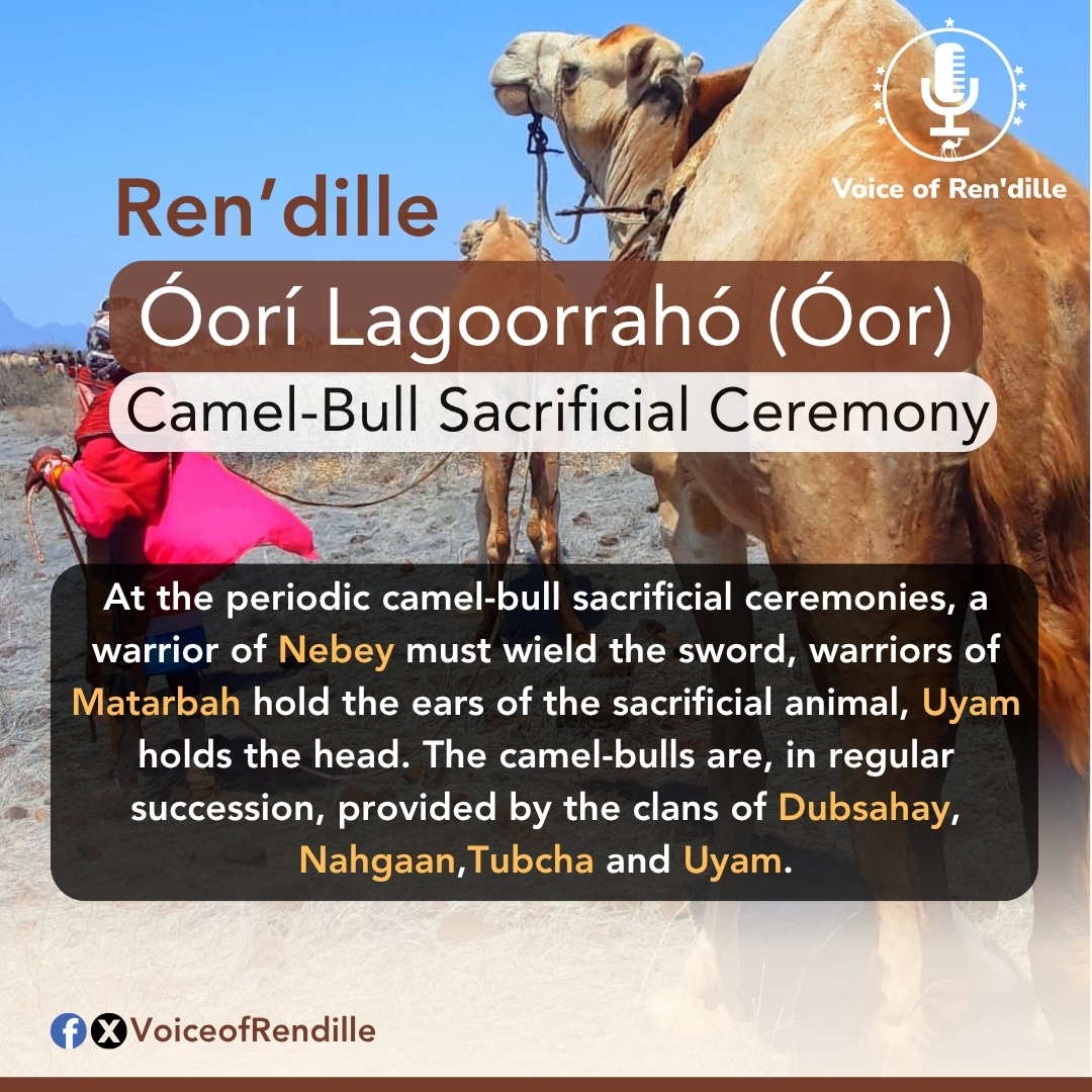 Ren'dille Óori Lagoorrahó (Óor) Ceremony
Camel 🐪 Bull Sacrificial Ceremony

Since the Ren’dille community began living in their ancestral land — as guided by their Waakh (God), they have practiced a sacred 7-year, Óor, camel-bull sacrificial ceremony. 
#RendilleCulture
