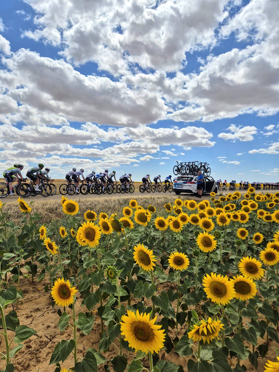 tatxu73's tweet image. 55km/h de media en la 4etapa de hoy en Castilla-Leon
150km
En fila todo el día 😝🤣