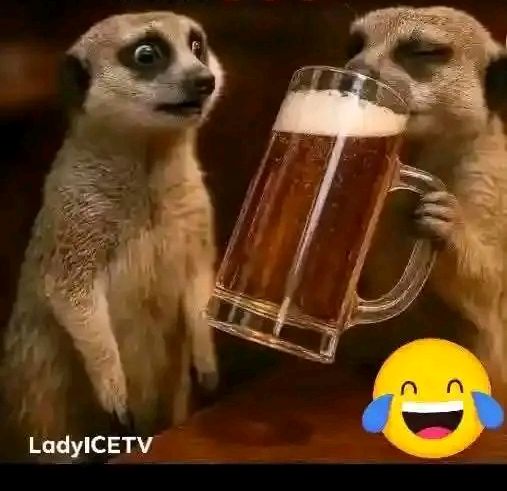 david_mush27896's tweet image. The pain of seeing someone who knows all your secret getting drunk🙆♂️🙆♂️