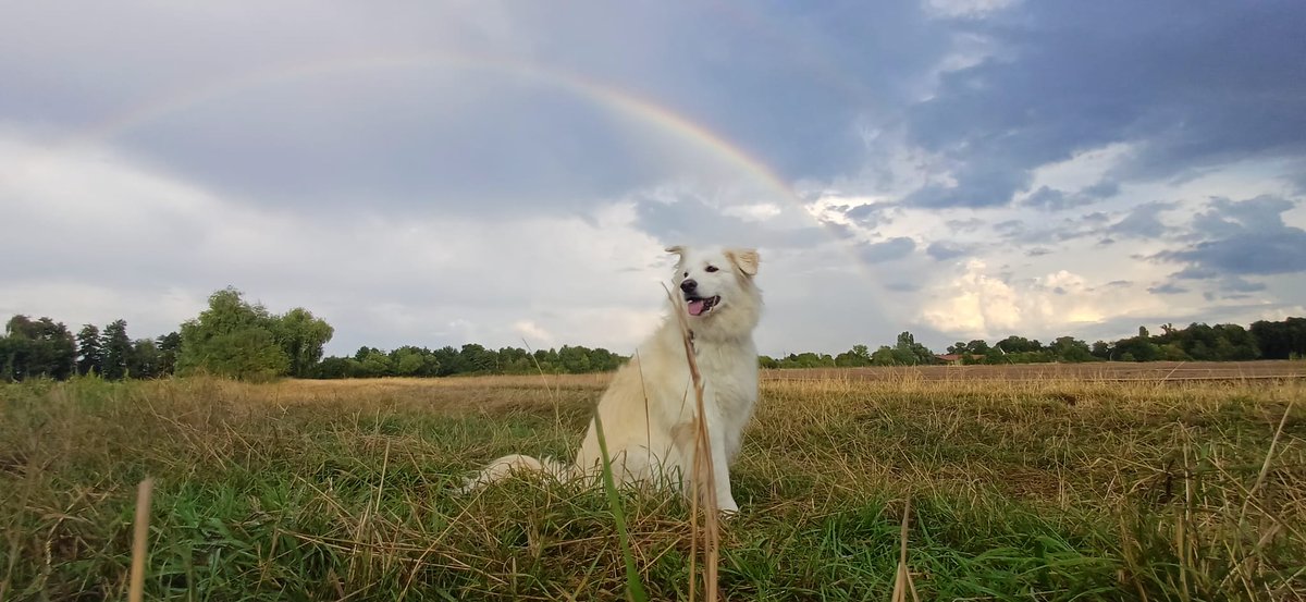 #Pride2025 
Now with a cool furry friend.
🏳️‍🌈 The freedom to be who you are. The freedom to love whoever you want. These rights are non-negotiable. In 2025, lets continue to fight for a society without discrimination. #Pride #Diversity