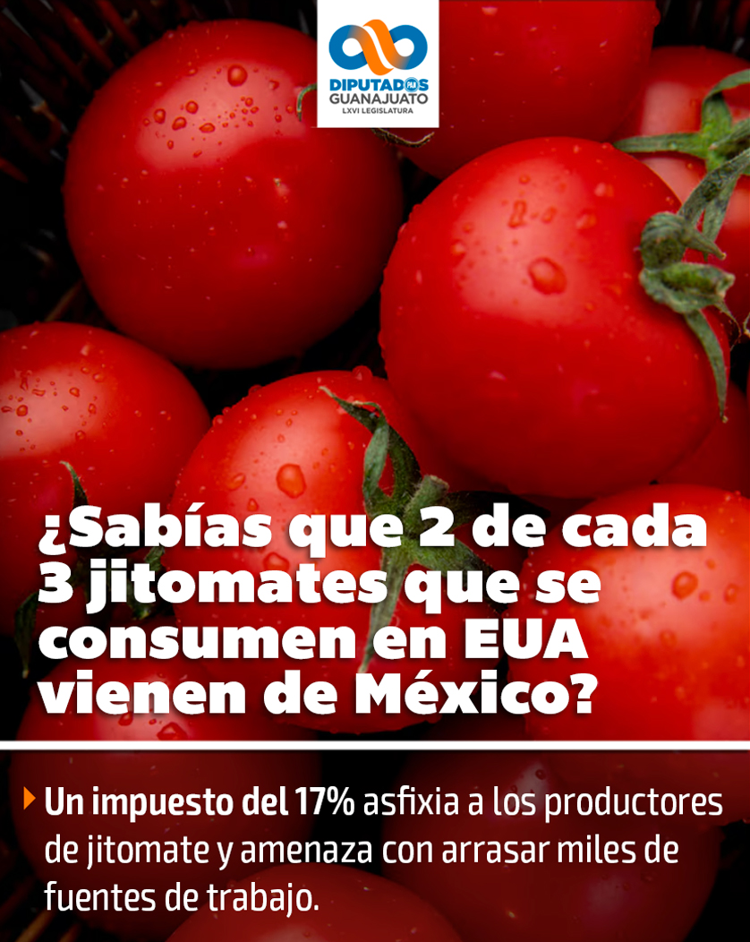 DiputadosPANGto's tweet photo. El jitomate mexicano enfrenta una amenaza que afecta a todo el país.

No se trata solo del campo: se trata del empleo, de la economía familiar y de nuestra soberanía alimentaria.

Como Grupo Parlamentario, alzamos la voz. 🍅🇲🇽 https://t.co/TS3MswkOLJ