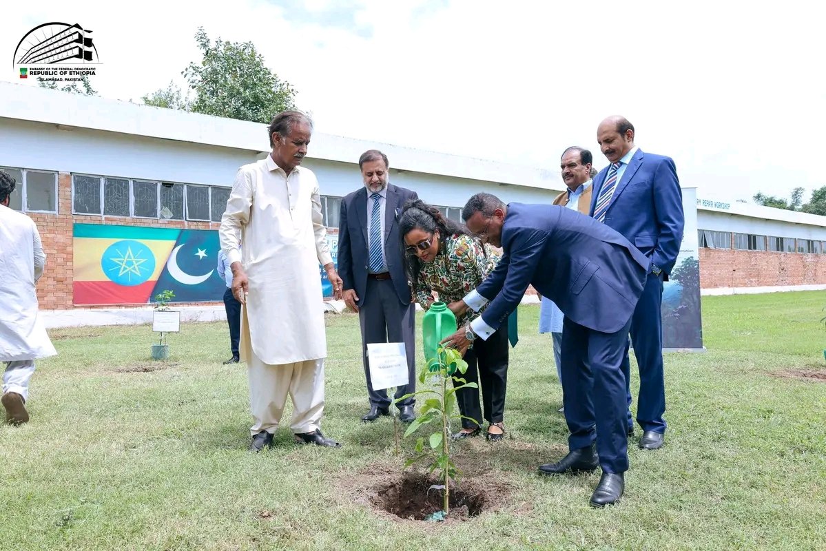 'Renewal through Planting’ launched in Islamabad as #Ethiopia and Pakistan deepen cooperation on climate change and environmental protection through the #Green_Legacy Initiative 
🇪🇹🇵🇰 🌱
fanamc.com/english/renewa…