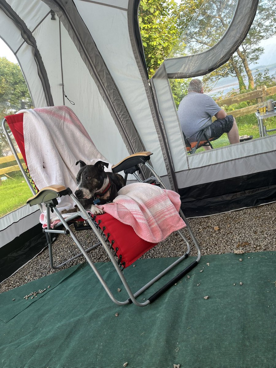 orlafer's tweet image. Something off in our house when the humans get the cheap seats 🤣🐾😂🐾 spoiled much?