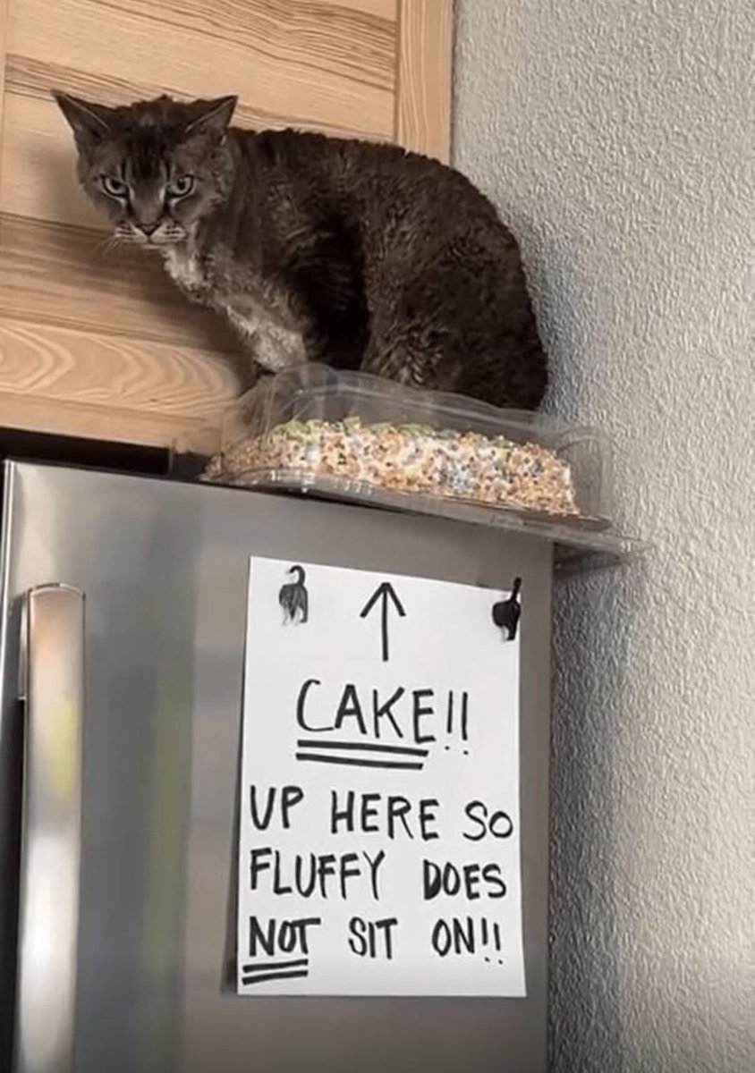Did not work