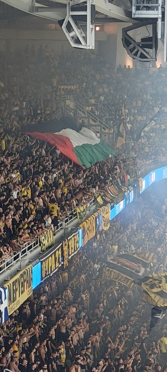 AEKINSIDER's tweet image. FREE PALESTINE - MONO AEK 💛🖤🇵🇸

(credit: @attalias21)