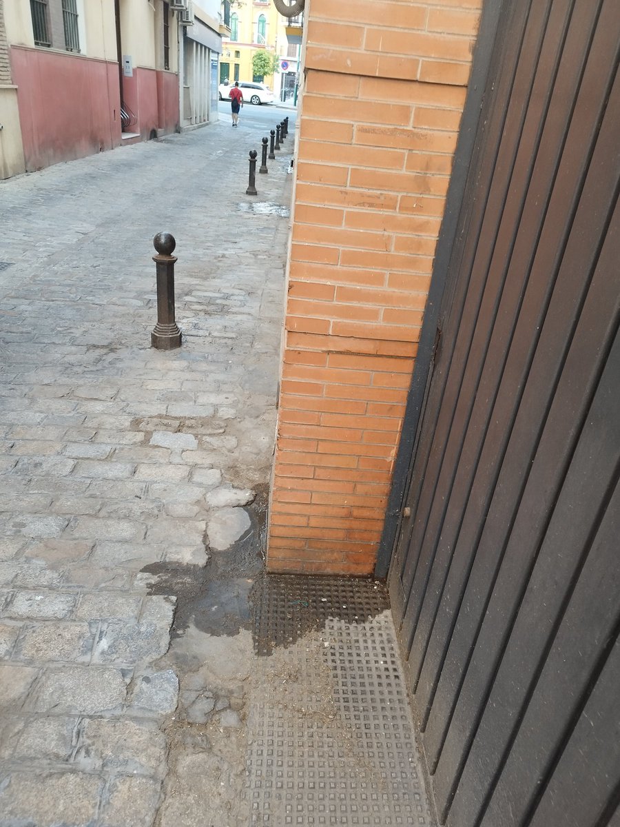 El_Primillo's tweet photo. #cuidemosSevilla #sevilla #DistritoMacarena
el tweet de los meados del barrio, calle Carranza, calle Bécquer está exactamente igual. Lipasam pasarse por favor a baldear ¿no?. Siempre el mismo olor a meado de los mismos incívicos. A comer mierda sevillanos, es lo que nos toca. https://t.co/3M9zgJF8Km