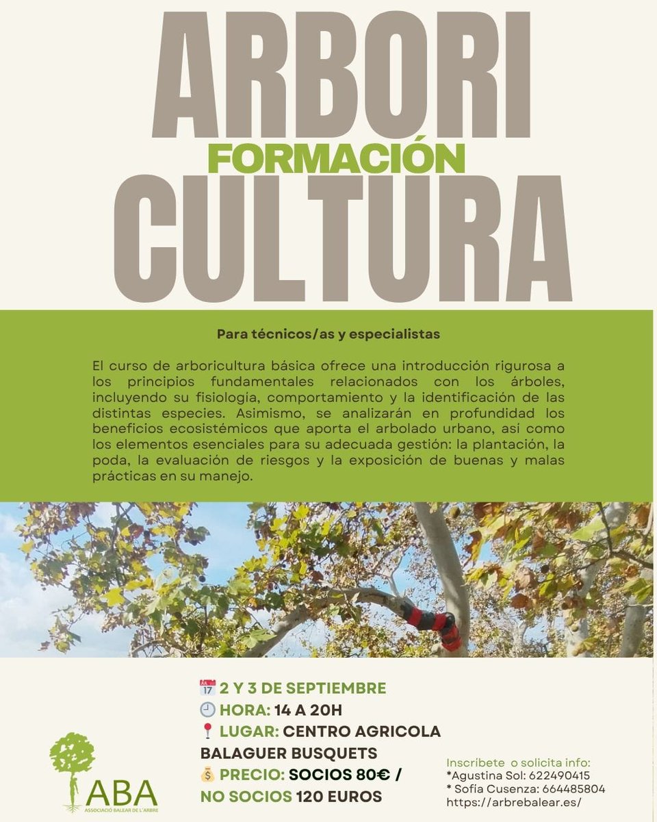 ARBREBALEAR's tweet image. 🌳 ¿Te apasionan los árboles?
📚 ¡Nueva formación en arboricultura con #ABA
🗓️ 2 y 3 de septiembre | 🕓 14–20h
📍 Mallorca
🔗 Inscripciones: arbrebalear.es/cursos/formaci…
#Arboricultura #FormaciónAmbiental #ArbreBalear