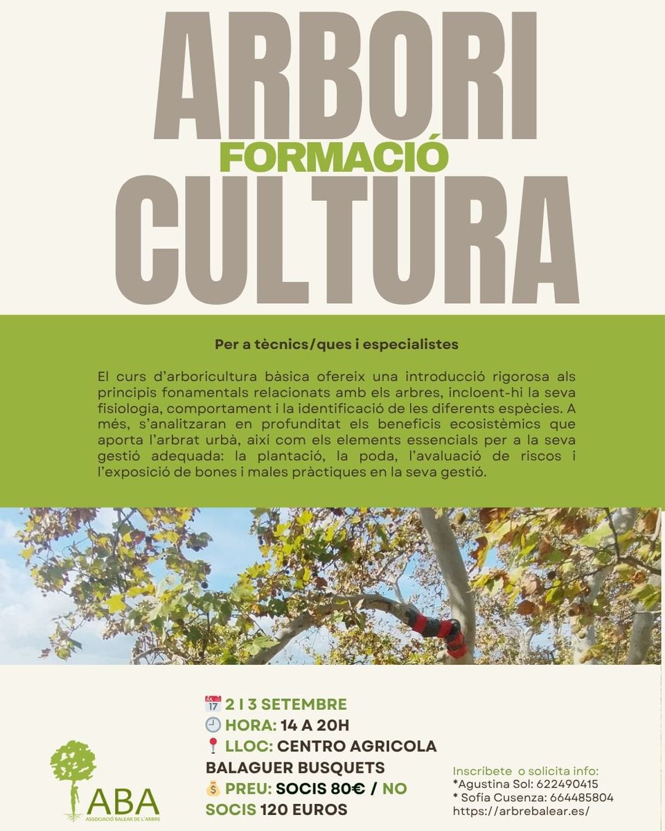 ARBREBALEAR's tweet image. 🌳 T’apassionen els arbres?
📚 Nova formació en arboricultura amb #ABA
🗓️ 2 i 3 de setembre | 🕓 14–20h
📍 Mallorca
🔗 Inscripcions: arbrebalear.es/cursos/formaci…
#Arboricultura #FormacióAmbiental #ArbreBalear