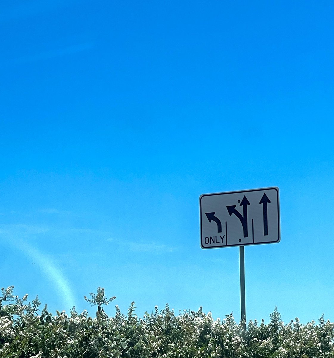 BAYC5511's tweet image. Waitin for a light to turn green, look over, see an accidental @danielkoeth