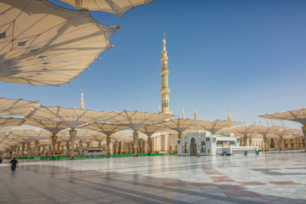 خاتم النبیین ﷺ ہمارے بڑی شان والے 

شب بخیر دوستو