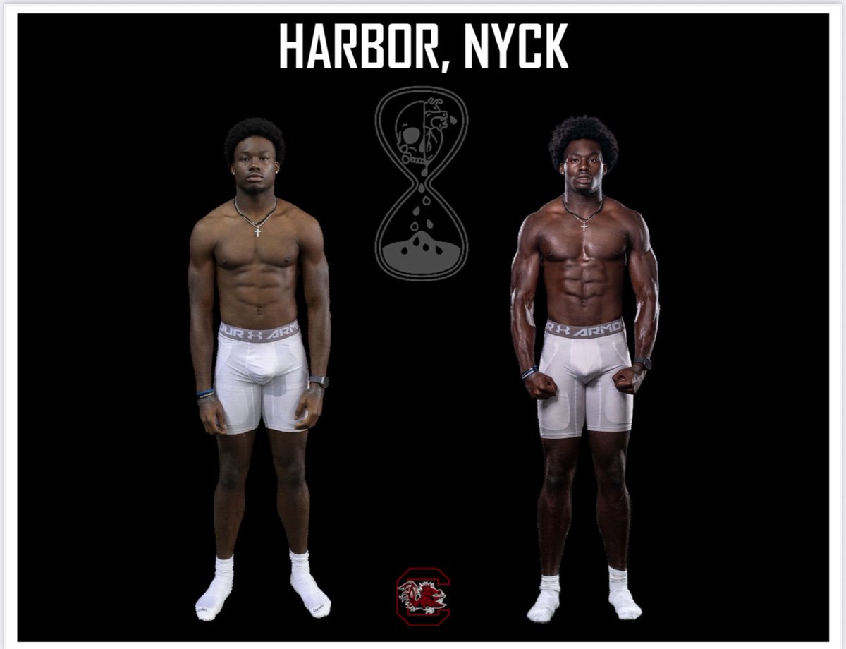 Nyckoles Harbor tweet media