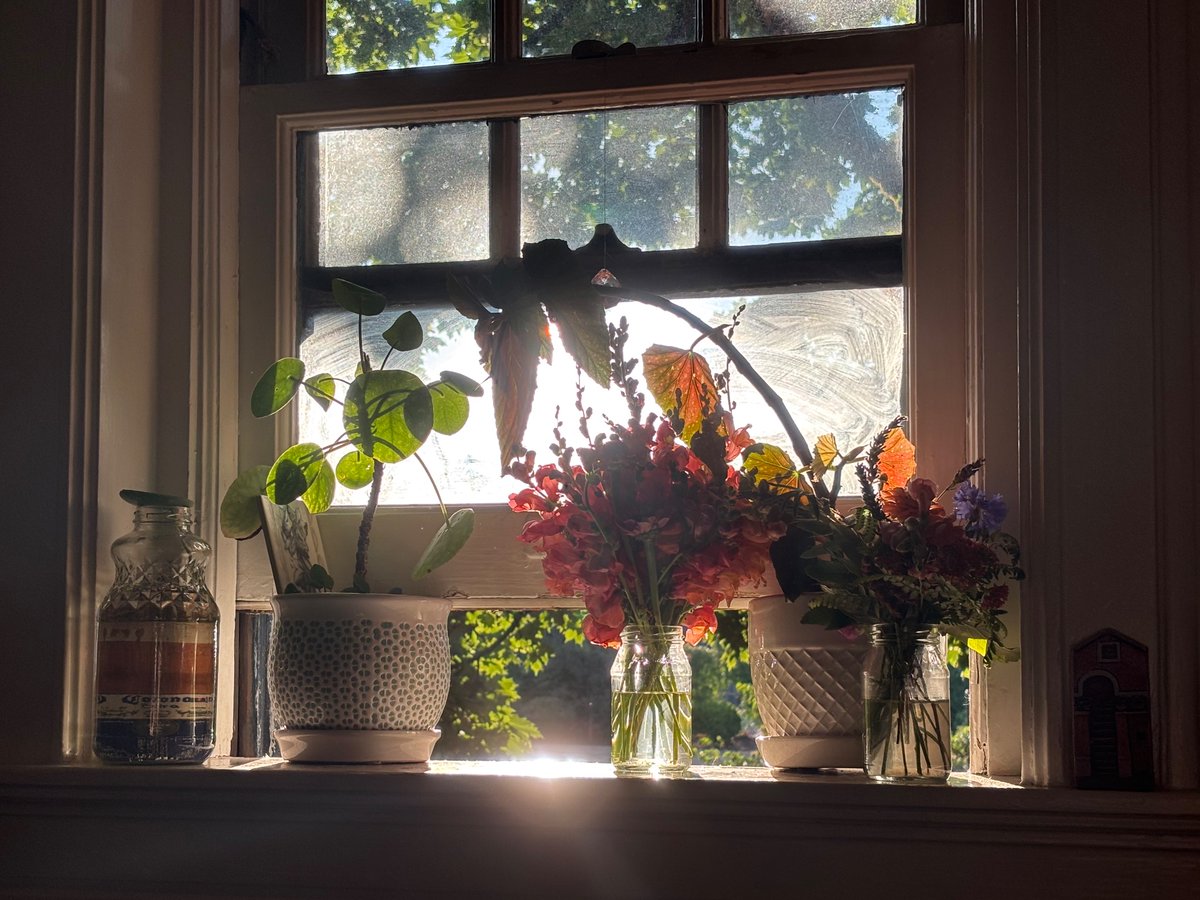 bumpasshell's tweet image. I love my beautiful filthy kitchen window