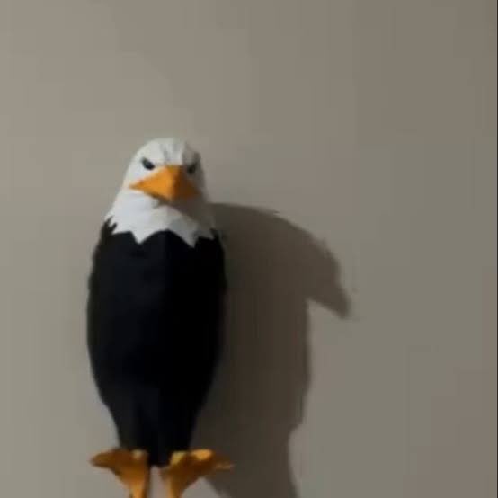 Beşiktaş'ın kanatlar