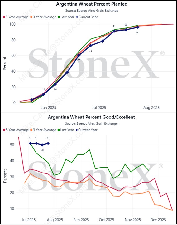 mike_castle2's tweet image. Planting of Argentina's #wheat crop is nearly wrapped up, advancing 3.1% week-on-week to reach 95.9% complete.
Conditions are off to a great start, in their best shape at this time since 2021 at 51% good/excellent, up another 1% from the week prior. #oatt