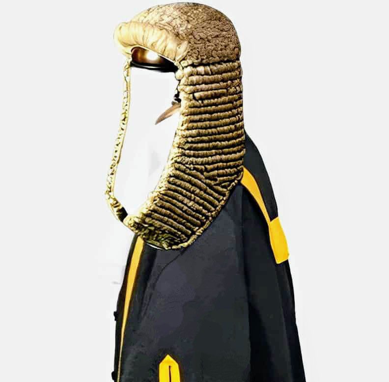 Etaba_agbor's tweet image. Congratulations to our 57 distinguished Learned Seniors elevated to the rank of Senior Advocate of Nigeria (SAN).
We are truly inspired! 🤲🏾