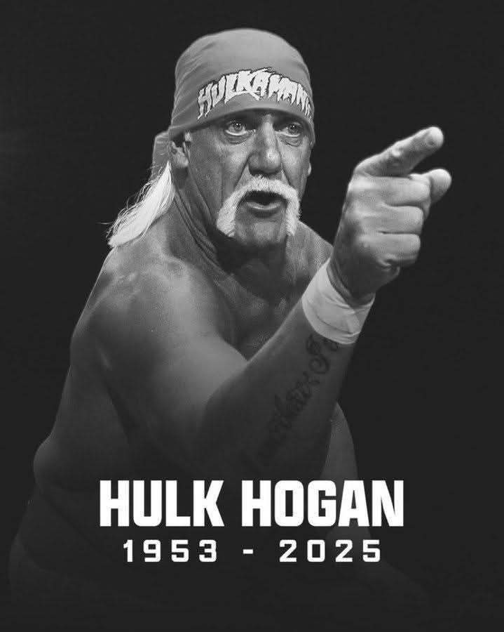 VClorto's tweet image. Bin merde alors 🥺

RIP Hulk Hogan