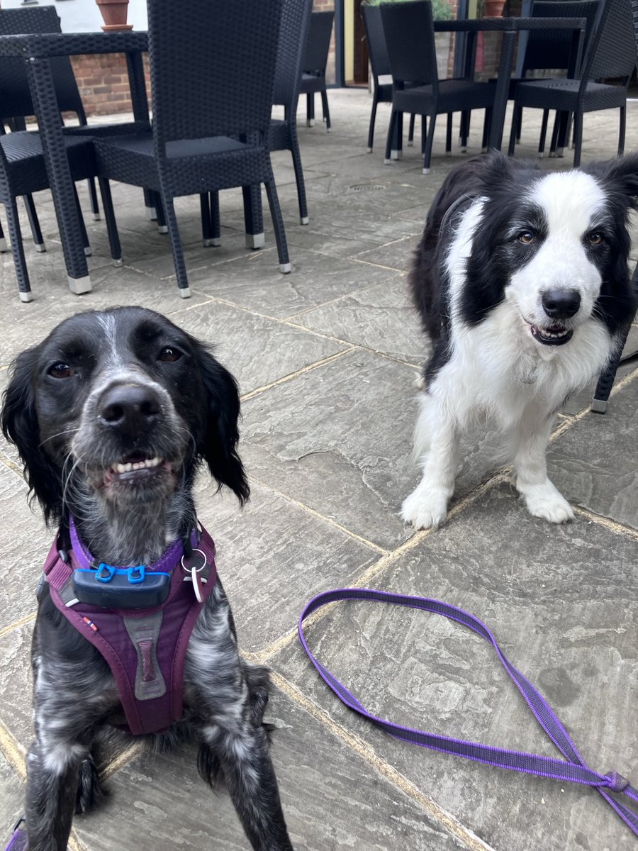 PiperSprocks's tweet image. We went to da pub but then it rained SO MUCH so we didn’t do long walk and myMum (WinnieMum) had to rescoo us and @ziggymzjbrown Mum and drive us home so we diddunt get drownded