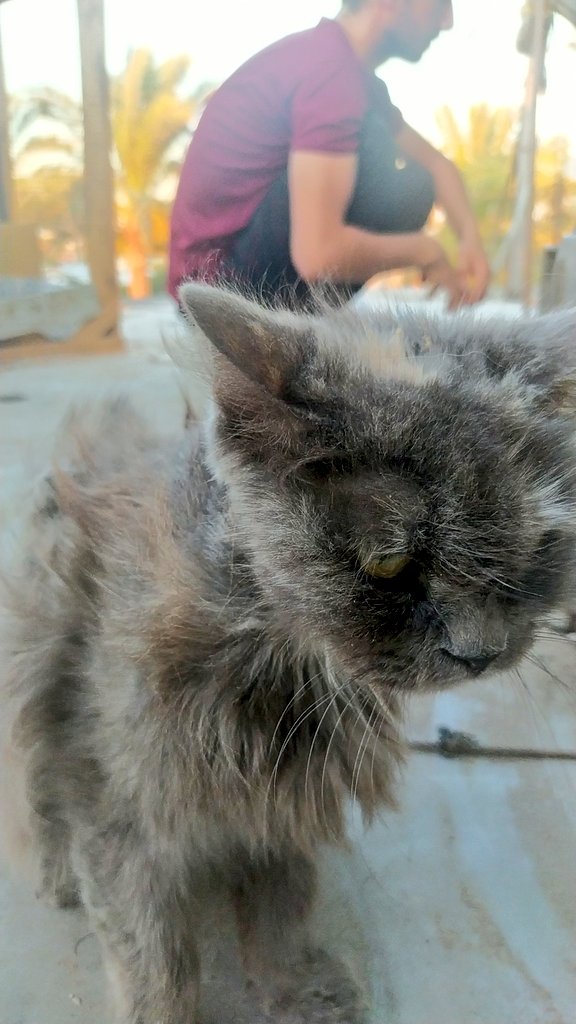 yousefmohmoud25's tweet image. 🙏This is my family's last call for help!‼️
We don't guarantee you'll live after that.
We are in desperate need of support.

Can we get food and medicine?

Please retweet, share and leave a comment 🍉, even if it's just one point.
Please don't ignore me!!…