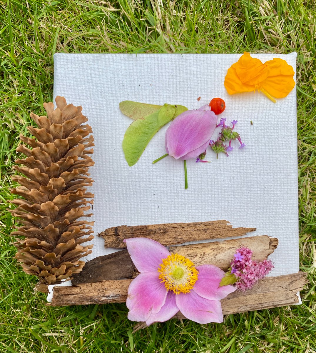 Lisa Kane tweet media