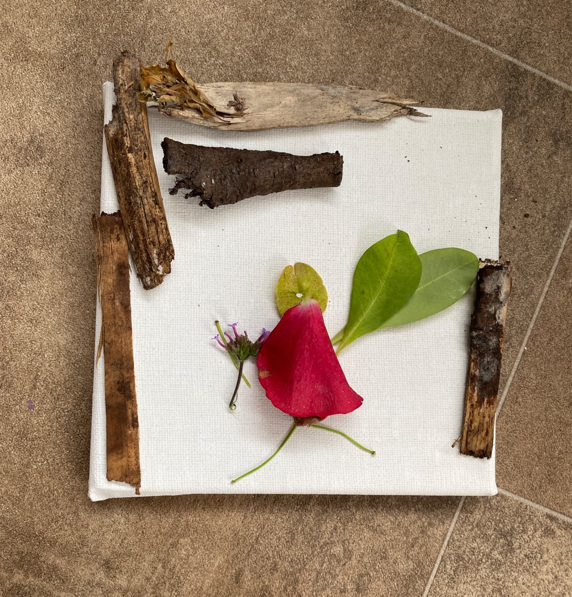 Lisa Kane tweet media