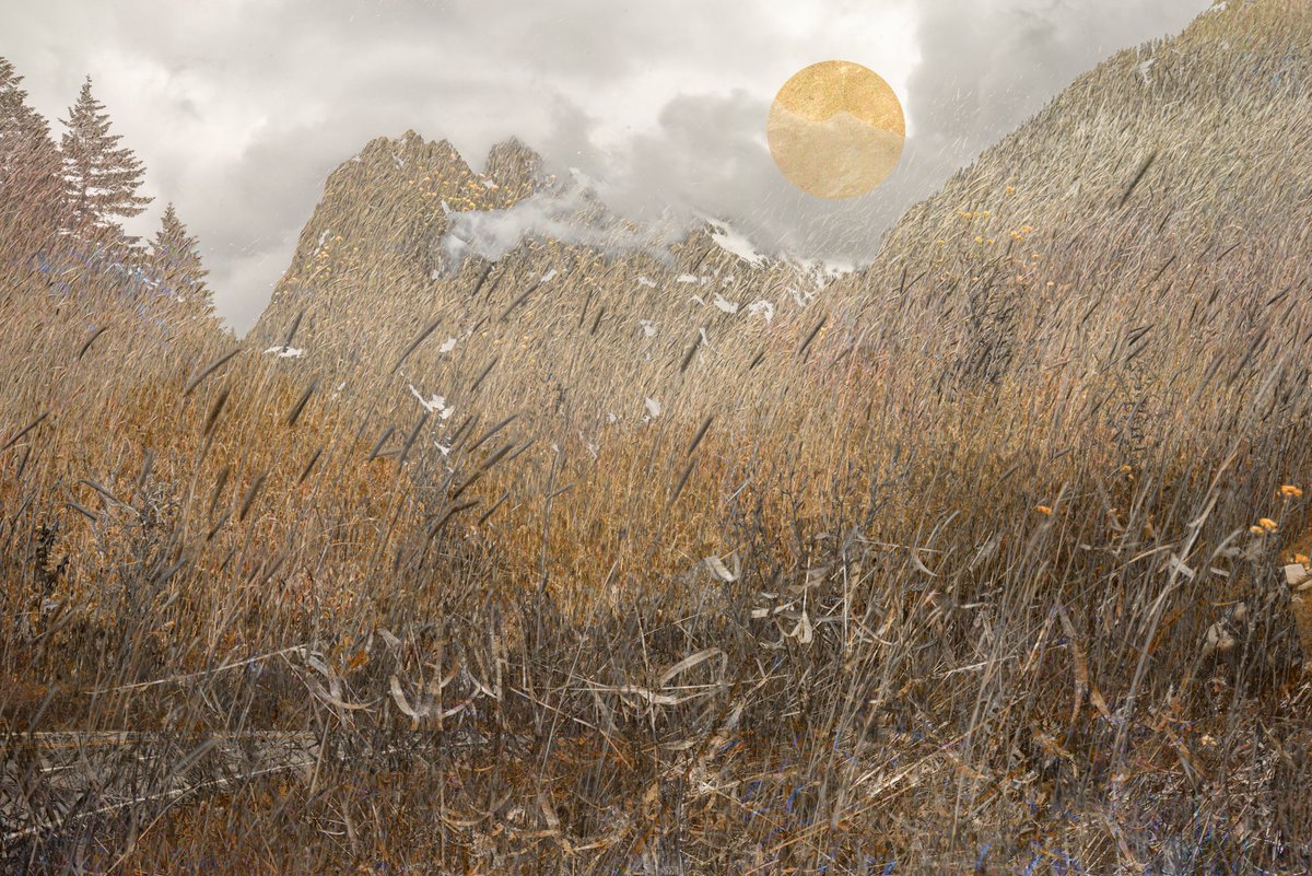 KRCaptures's tweet image. Photo art I’m proud of