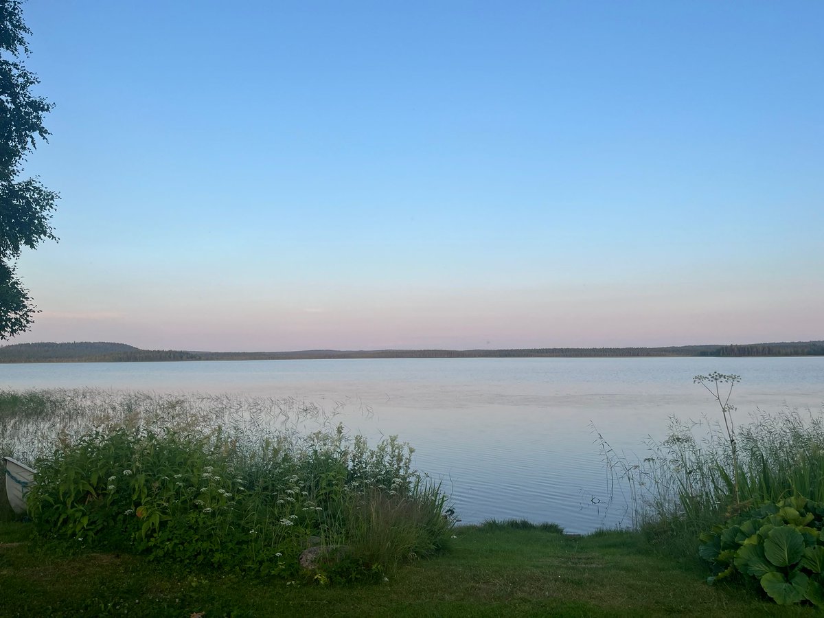 eija_tt's tweet image. Summer evening..
#EveningVibes #Summer
#NatureTherapy #PeaceOfMind