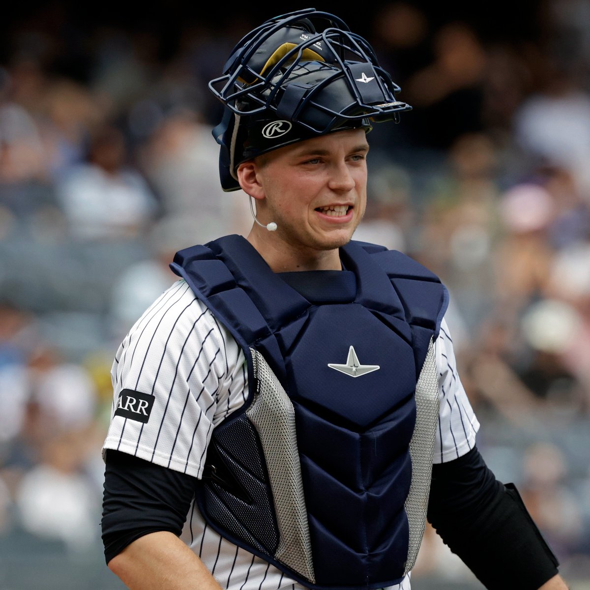 Talkin' Yanks tweet media