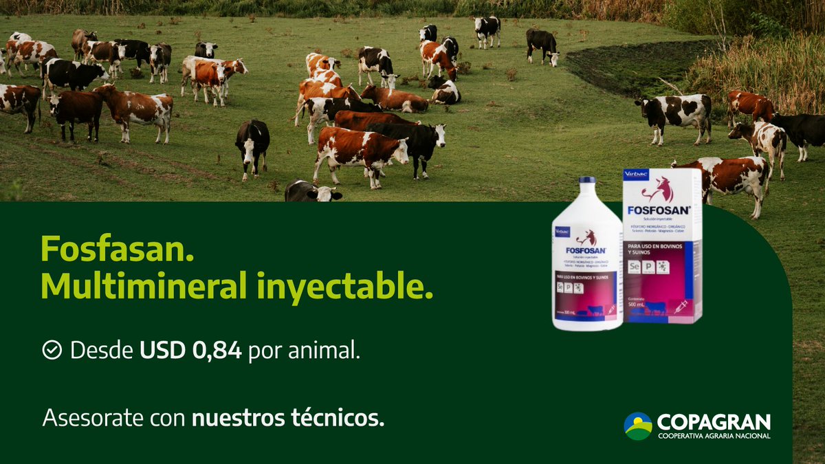 💥 Fosfosan, multimineral inyectable que mejora el desempeño animal desde la base.
💰 Desde solo USD 0,84 por animal.
📞 Asesorate con nuestros técnicos y elegí la mejor estrategia nutricional para tu campo.