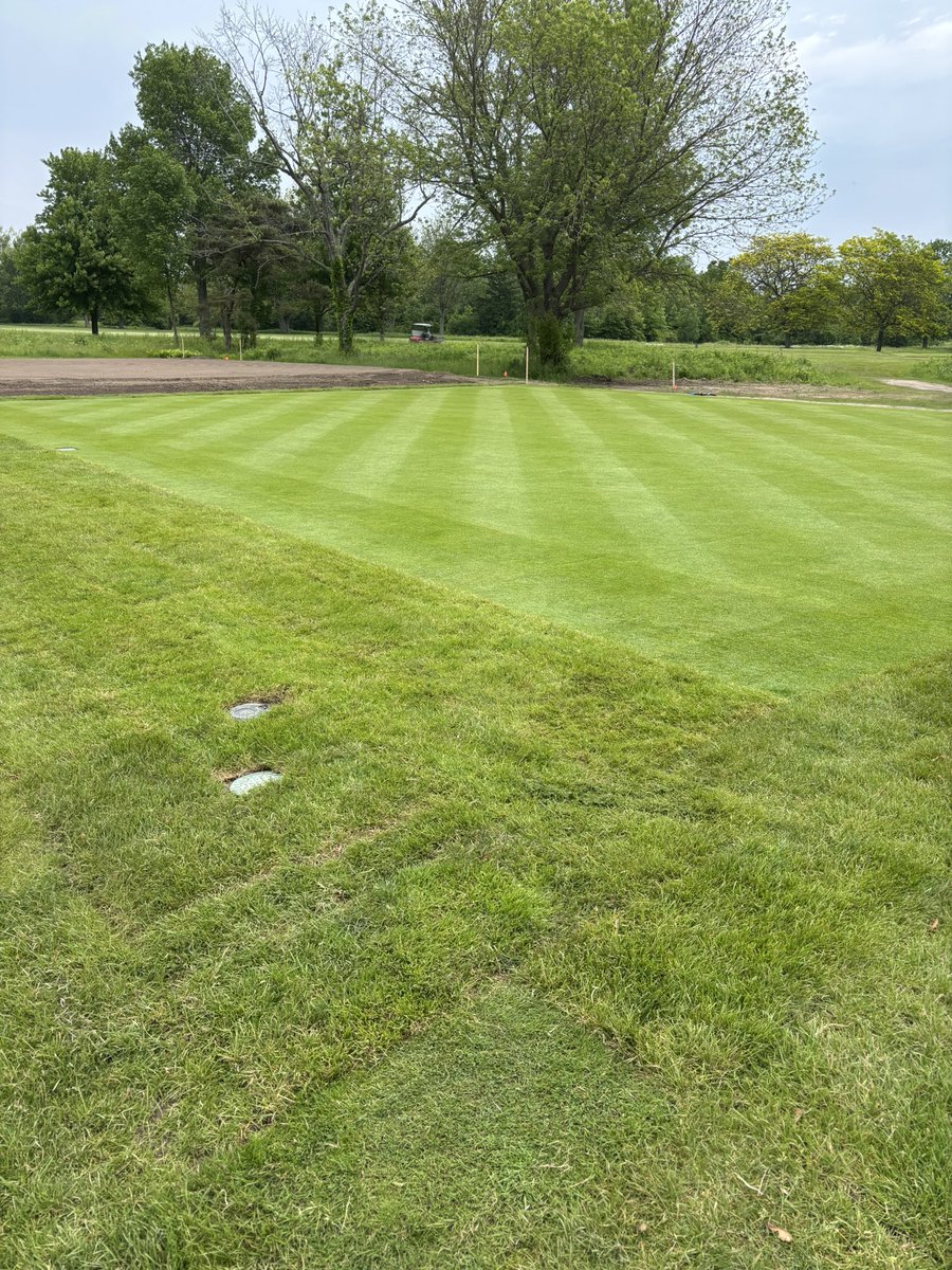 Nathan Nicholls tweet media