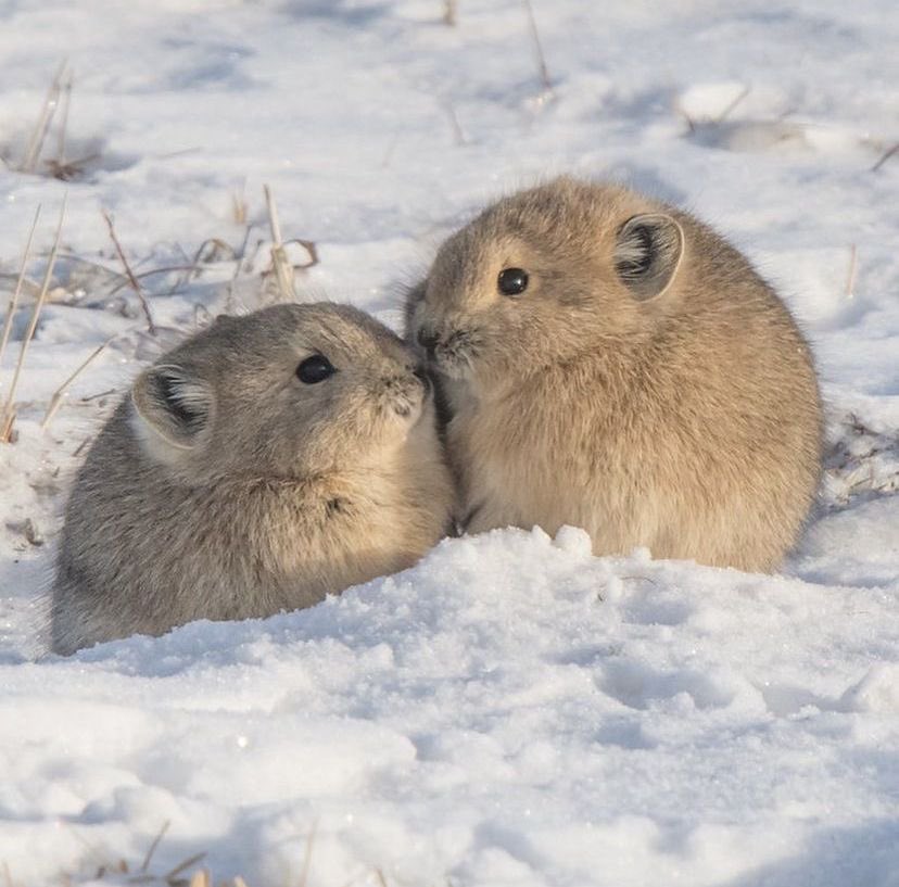 Me & Who? (@tagyourwho) on Twitter photo 