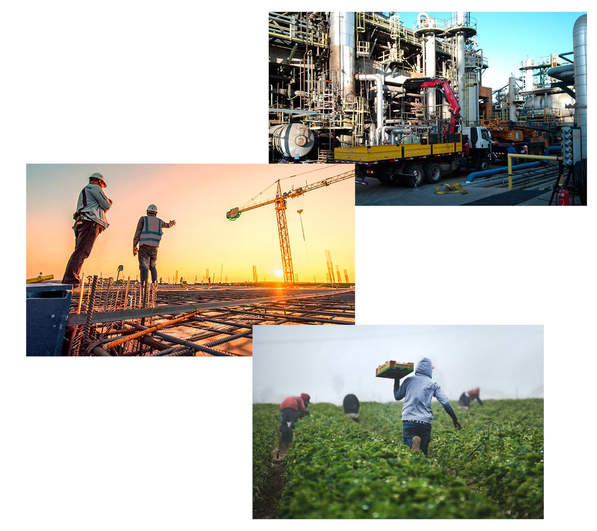 EPA 2º Trimestre 2⃣0⃣2⃣5⃣ ocupación por sectores, agricultura con 17.600 ocupados/as baja en 1.400  industria, con 45.800 ocupados/as, baja en 1.900 construcción baja en 5.600, con un total de 59.100 ocupadas/os.
<a href="/UGT_Andalucia/">UGT Andalucia</a> 
<a href="/ugtmalaga/">UGT MÁLAGA</a> 
<a href="/fica_andalucia/">UGT Fica Andalucía</a> 
<a href="/UGT_FICA/">UGT FICA #SalariooConflicto #PactoIndustria</a>