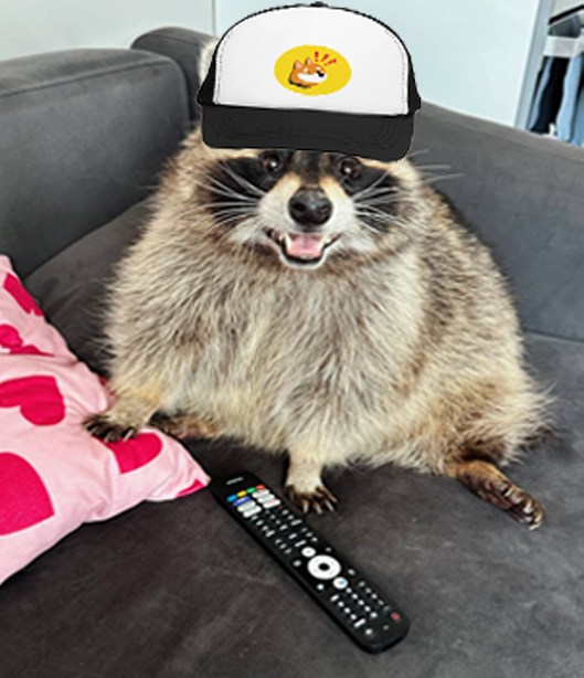 TemaRaccoon's tweet photo. The billionaire who made the other $TEMA rugged us and Tema's owner...

https://t.co/DgzTCAVwka rugged us... 

Just already rich people lining their own paockets.

@bonkfun is fixing the space, and our $TEMA is fixing this ticker. The perfect lore of giving all the credits to original creators and the community. 

@SolportTom