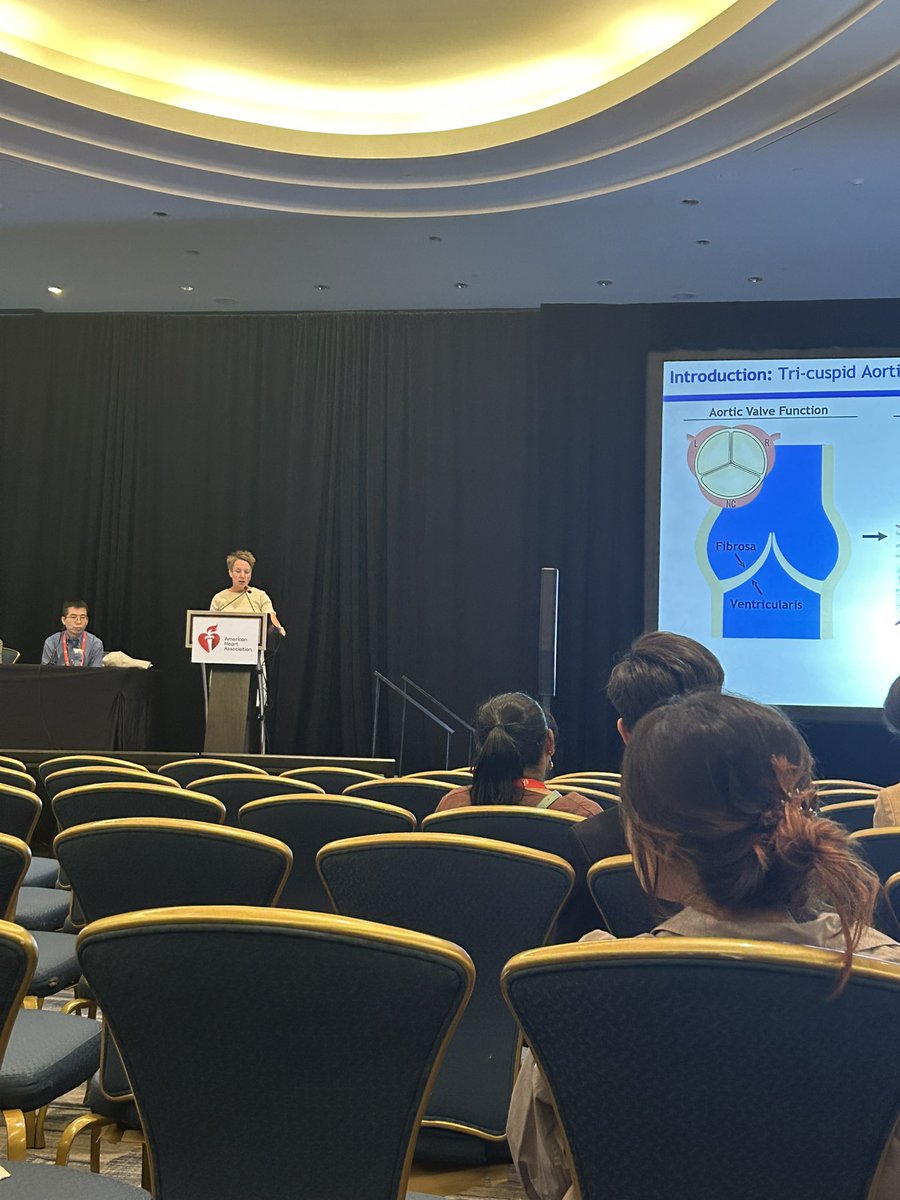 SoahLeePhD's tweet photo. Just wrapped up the cardiac development session—exciting talks ranging from linear heart tube formation to postnatal heart maturation. A perfect primer for the upcoming tissue engineering session. Stay tuned! 🫀 #bcvs25 https://t.co/hPU5v7pDeu