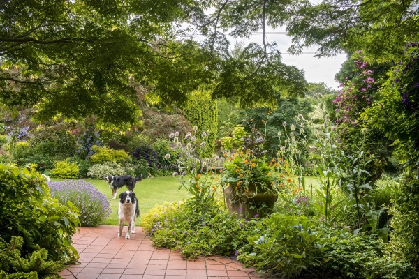 Ashwood Nurseries tweet media