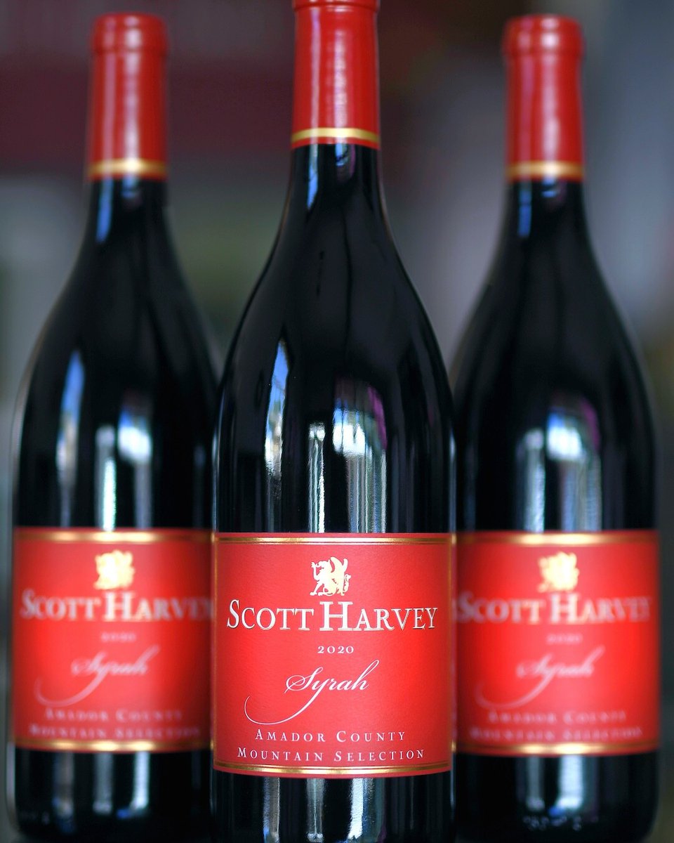 🍷 Happy Syrah Day from Scott Harvey Wines!
Bold, rich, and beautifully expressive—Syrah holds a special place in our cellar and our hearts.
Celebrate Syrah Day by exploring our collection of vintages—because great Syrah only gets better with time.