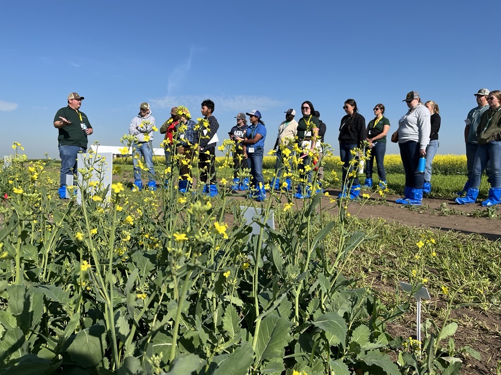 1/2 We are live at Crop Diagnostic School in Scott, SK, where agronomists, producers and workers are receiving training to improve their crop scouting skills!