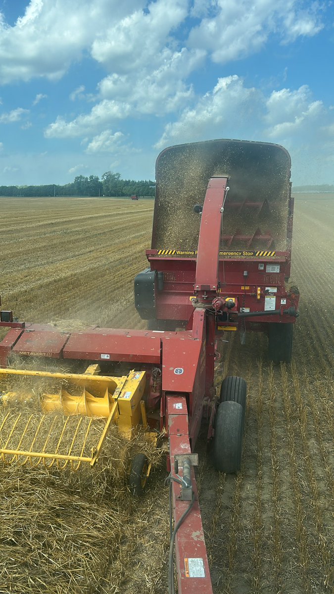 Dave Standeaven tweet media