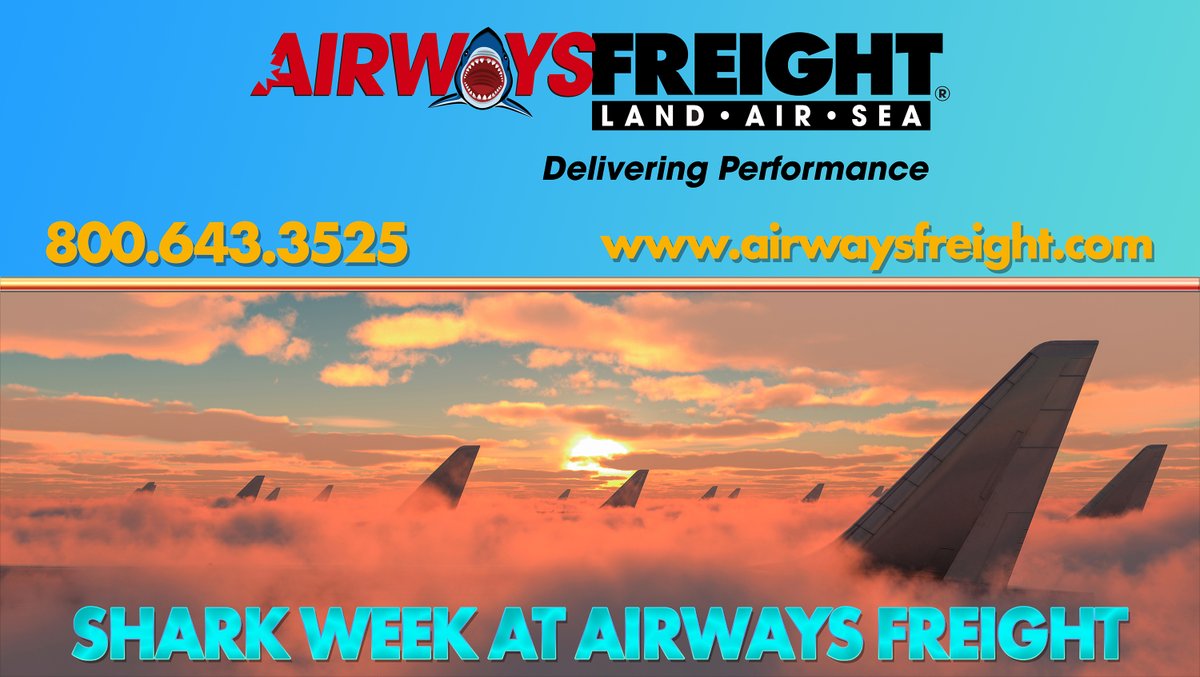 ow.ly/PFVM50WthLB 800.643.3525 #deliveringperformance #freight #shipping #ocean #international #whiteglove #tradeshow #ground #trucking #charter #LTL 

Contact us today for more information!  🚚🛩️🚢