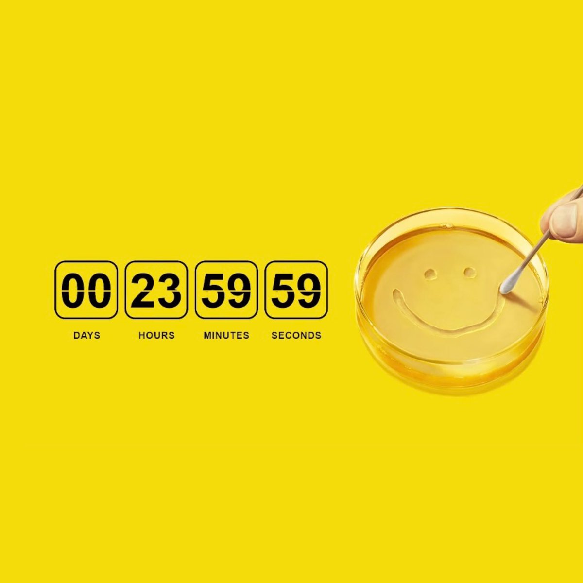 rheangelseehorn's tweet image. Get ready! The countdown for Rhea Seehorn and Vince Gilligan's #Wycaro reveal ends in 24 hours! β» β»